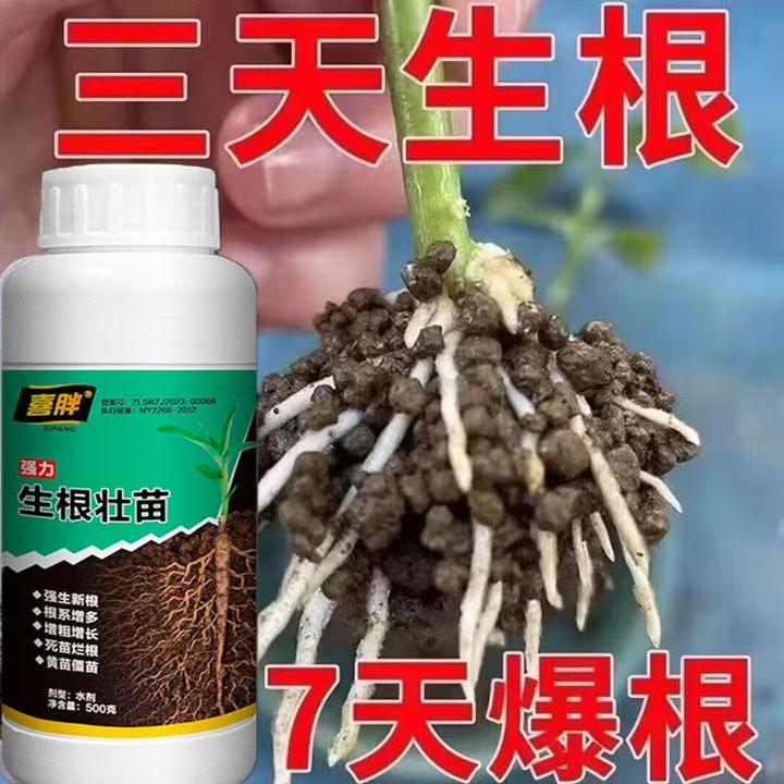 【3天生根】强力生根液植物扦插生根剂快速生根壮苗扦插移栽专用