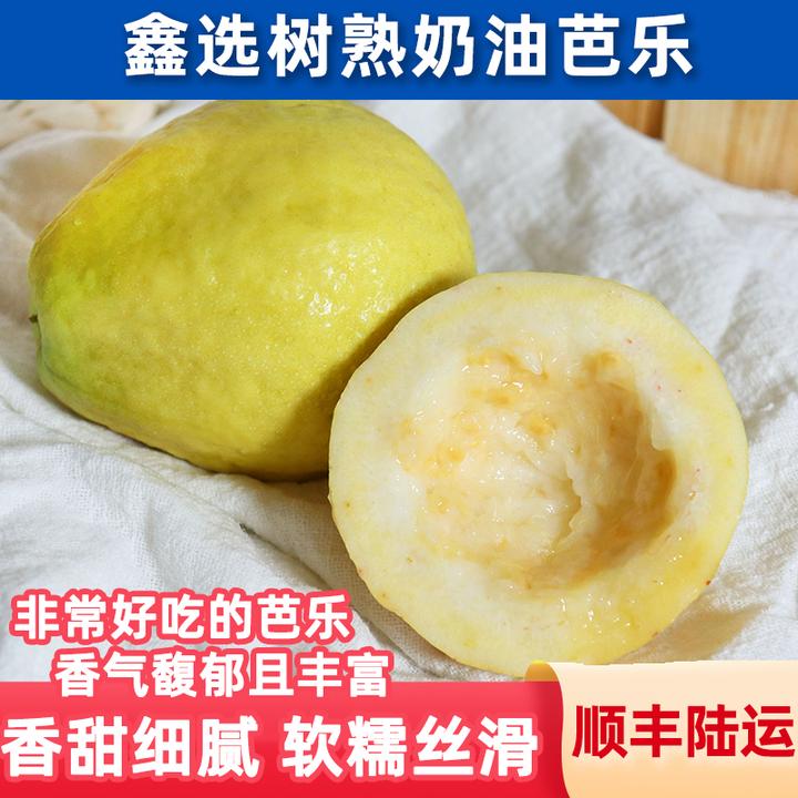 鑫选 树熟奶油芭乐番石榴3-4.7斤 盐碱地种植香甜细腻 顺丰直发