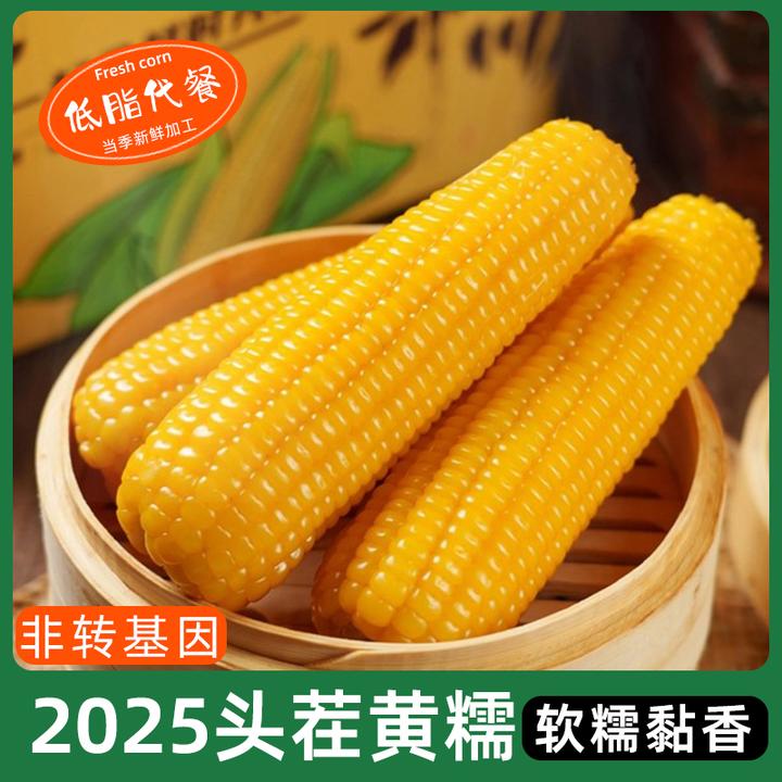 25年头茬黄糯玉米10根270-320克试吃2根软糯粘香非转基因软糯黏香
