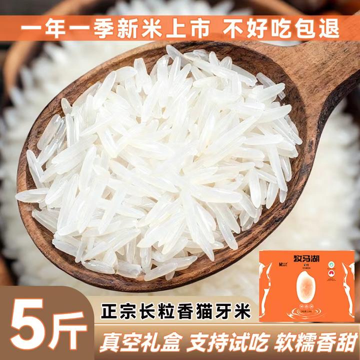 牧马湖天马香贡米5斤长粒香米大米丝苗米新鲜方便真空支持试吃MMH