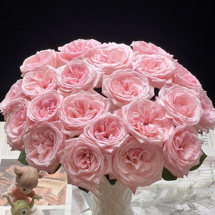 【粉荔枝】高品质玫瑰  基地直发