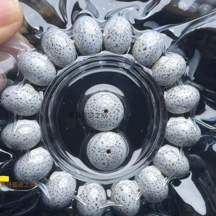 精品新款海南星月菩提原生态高油高密大籽尺寸16/12单圈文玩男士