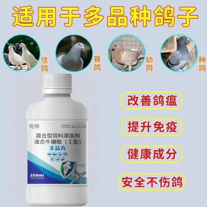 鹦鹉八哥鸽子画眉鸟玉鸟柯尔鸭抗病毒缩头炸毛呆立呼吸困难急救