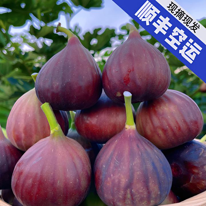 [顺丰空运]云南红皮无花果新鲜果礼盒装流蜜无花果鲜果现摘特大果