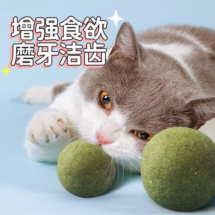 猫咪玩具超大发声猫薄荷球自嗨解闷逗猫棒小猫专用磨牙耐啃咬零食