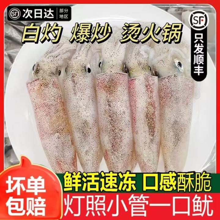 小管鱿鱼白灼鱿鱼新鲜冷冻大鱿鱼大笔管鱼小乌贼海鲜水产鲜活生鲜