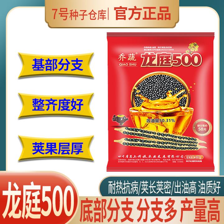 龙庭500油菜种子高产甘蓝型杂交油菜种子耐热耐寒