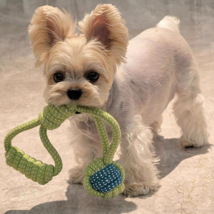 小狗狗玩具耐咬磨牙洁齿自嗨解闷神器消耗体力宠物绳结球拔河玩具