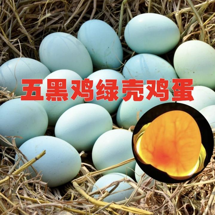 五黑鸡 中蛋 绿壳鸡蛋 散养 新鲜现捡现发 抱窝鸡发活体破损包赔