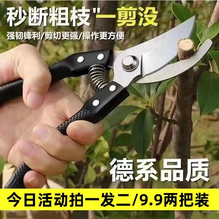 【活动中】家用修剪树枝专用剪刀花木剪修枝剪刀果树木剪子园艺园林