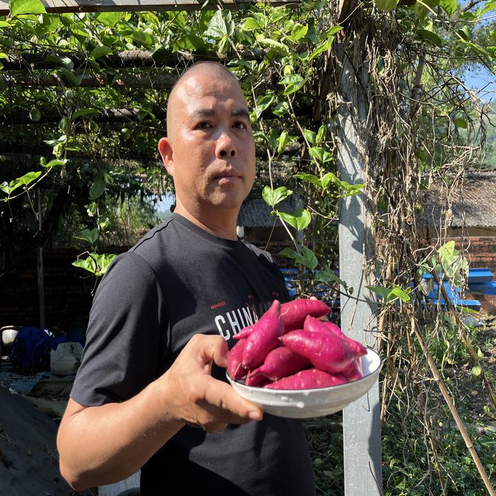 广西农家新鲜紫红薯