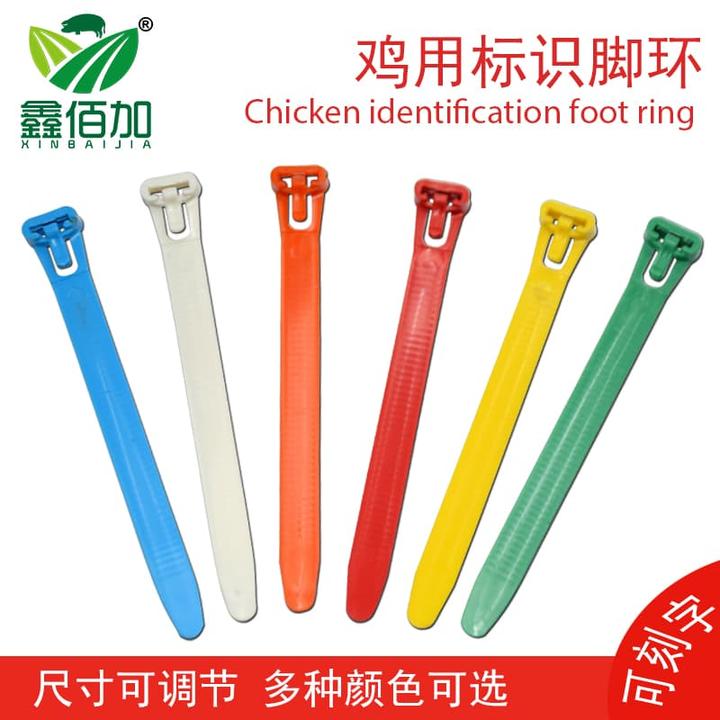 鸡脚环圈扎带式可调节大小家禽脚环 给鸡做记号用脚环 支持定制