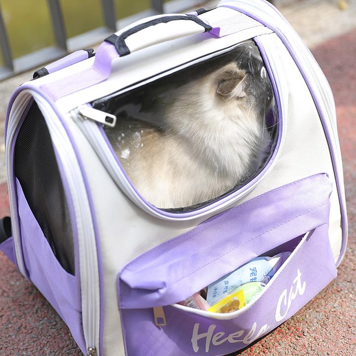 猫包外出便携猫背包大容量宠物太空舱箱子双肩背猫咪书包出行手提