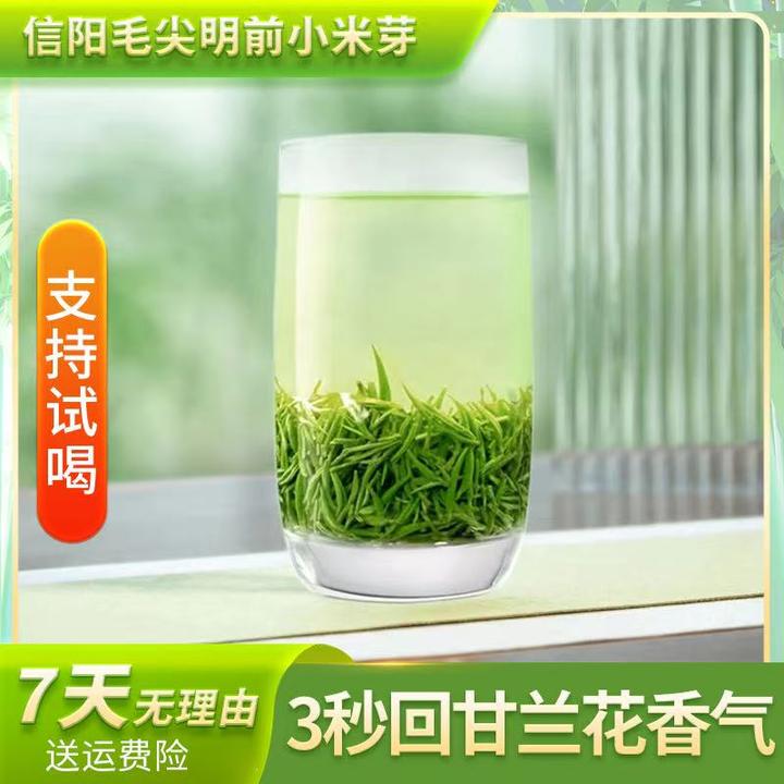 2024明前小米芽  芽芯  兰花香 清香淡雅 4A