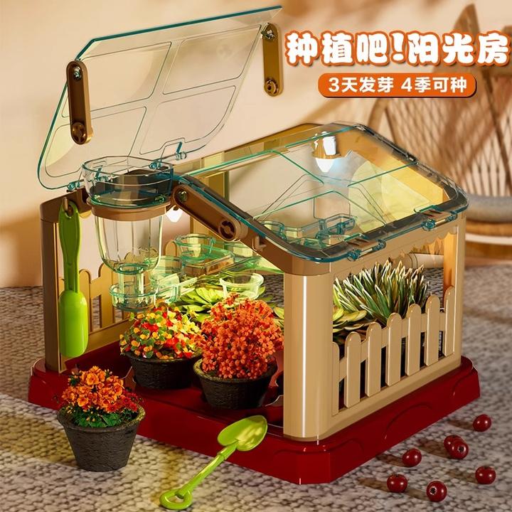 儿童阳光房diy种植花房种菜番茄种子迷你植物生长观察幼儿园学生