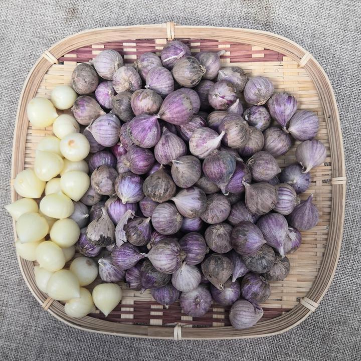 干蒜紫皮蒜新挖泡蒜小独蒜蒜独头大蒜1斤云南紫皮独头蒜