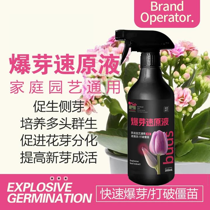 【爆芽速原液】多芽促芽催芽分化叶插花植物花卉绿植三角梅兰花通用