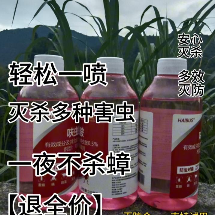 当家里有一只蟑螂时，就说明家里有一窝蟑螂了家庭灭杀室内家用