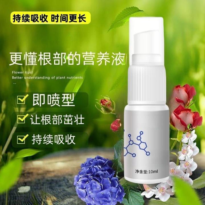 植物着壮根茎萃取精华液A1