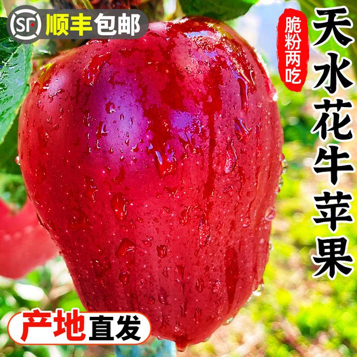【顺丰包邮】甘肃天水花牛苹果5-9斤红蛇果新鲜水果小苹果红苹果