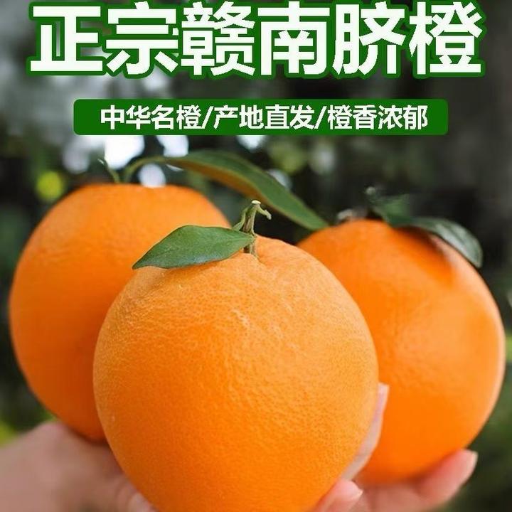 [新疆包邮]江西赣南中果脐橙新鲜现摘鲜甜多汁应季水果产地直发
