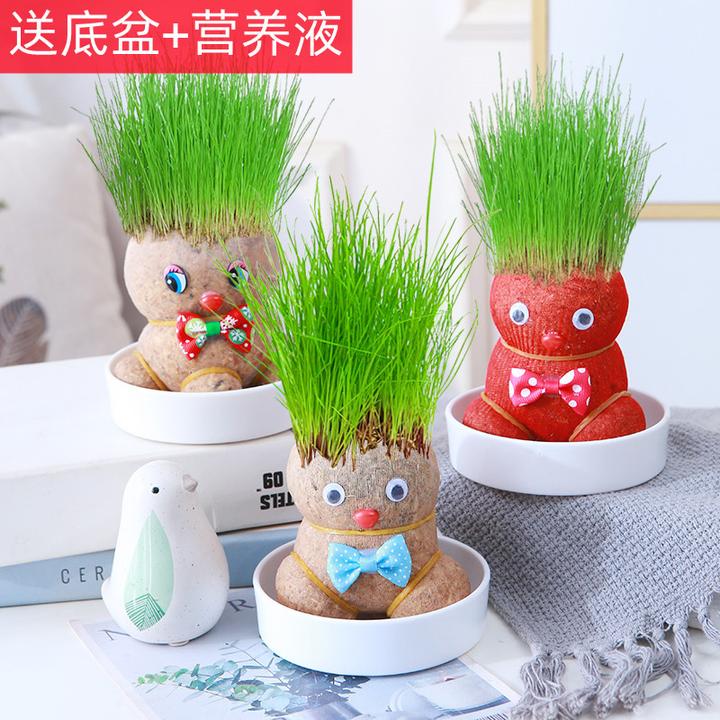 草娃娃绿植桌面水培好养长草植物幼儿园盆栽小摆件手工
