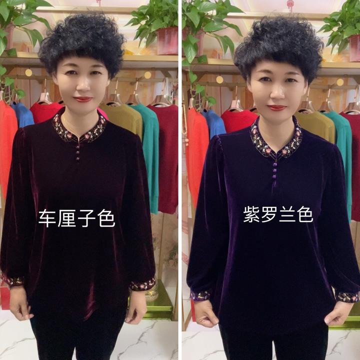 秋冬新款时尚立领刺绣三扣长袖丝绒衫