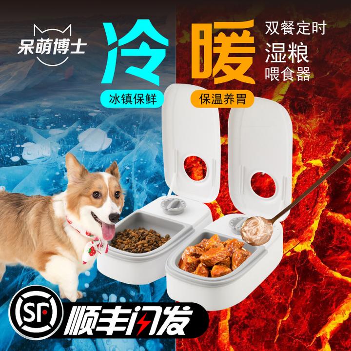 呆萌博士宠物湿粮喂食器自动喂粮机狗狗自助自动猫咪粮定时投喂器