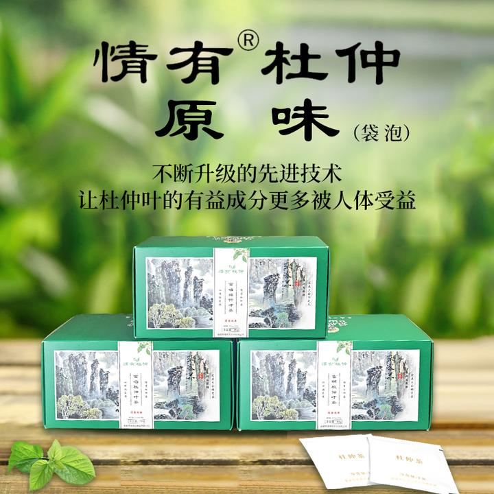 情有杜仲茶张家界慈利老树嫩叶富硒绿原酸袋泡茶独立包装养生茶