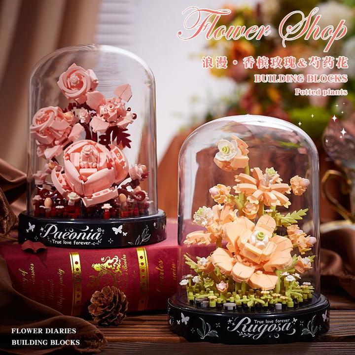 芍药花兼容国产积木香槟玫瑰桔树盆栽花束拼装摆件男女孩生日礼物