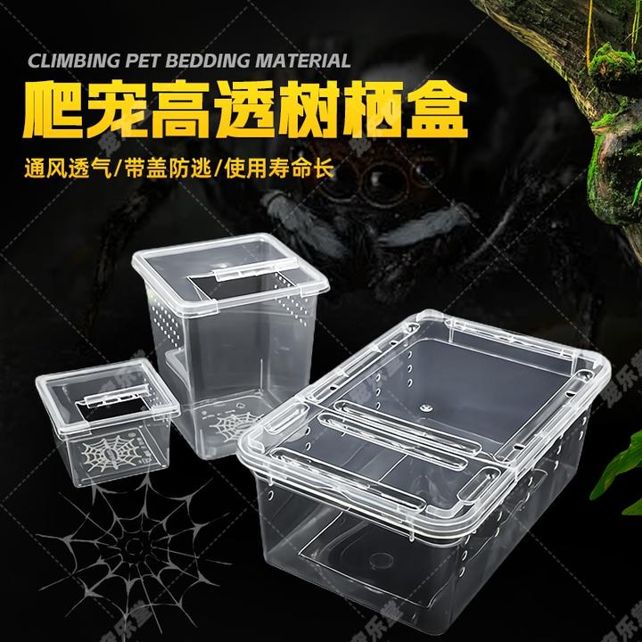 爬虫饲养盒爬宠蜘蛛蚕宝宝蜈蚣蝎子鼠妇睫角守宫蜗牛蜘蛛饲养箱盒