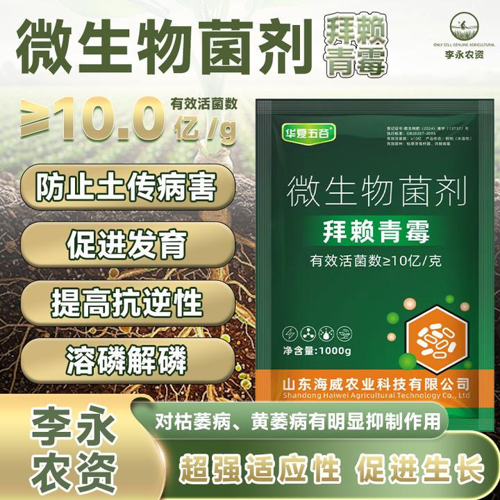 拜赖青霉适用土传障碍促进生长发育提高抗逆性