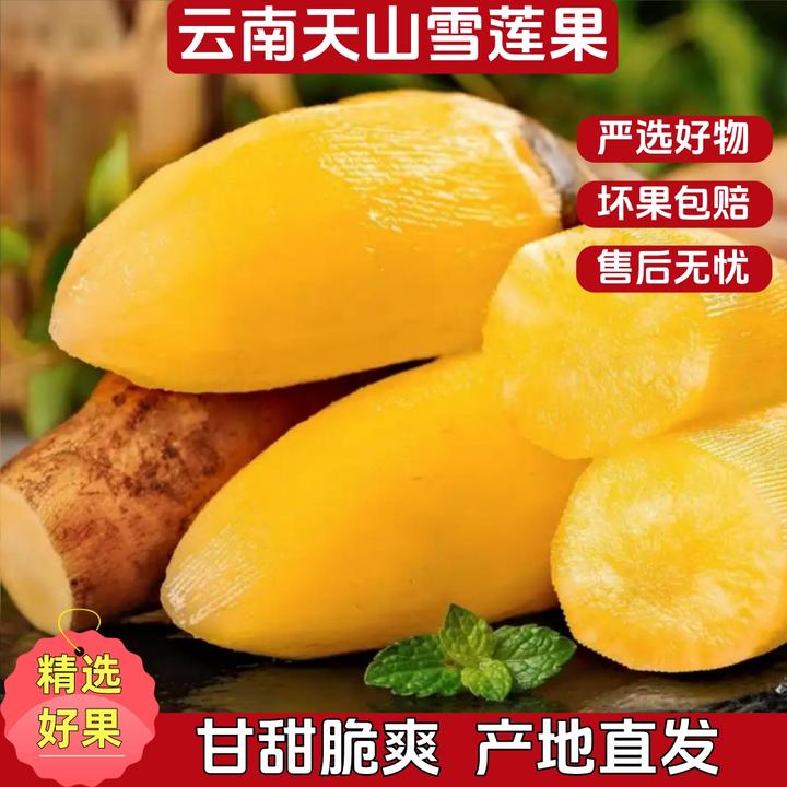 【雪莲果】云南雪莲果皮薄肉脆清甜多汁新鲜应季净重5斤
