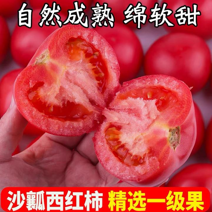 河西走廊沙瓤自然熟西红柿水果番茄甘肃武威粉番茄应季沙瓤大果
