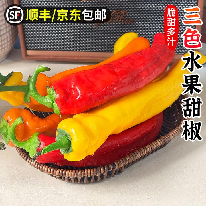 【脆甜|可生食】水果甜椒1-3斤彩椒新鲜水果辣椒芭蕾椒沙拉蔬菜