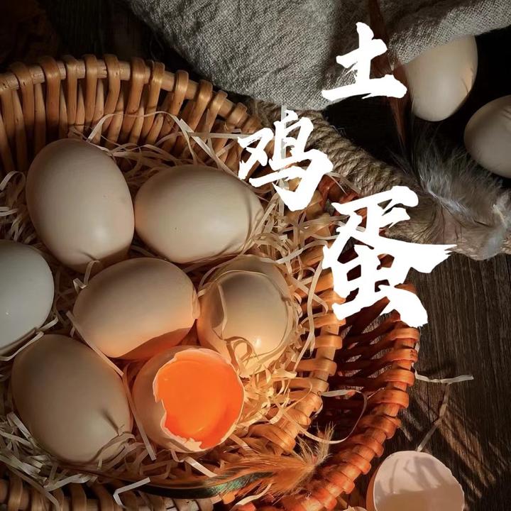 无品牌八里河果园散养土鸡虫草蛋新鲜营养现捡现发50枚