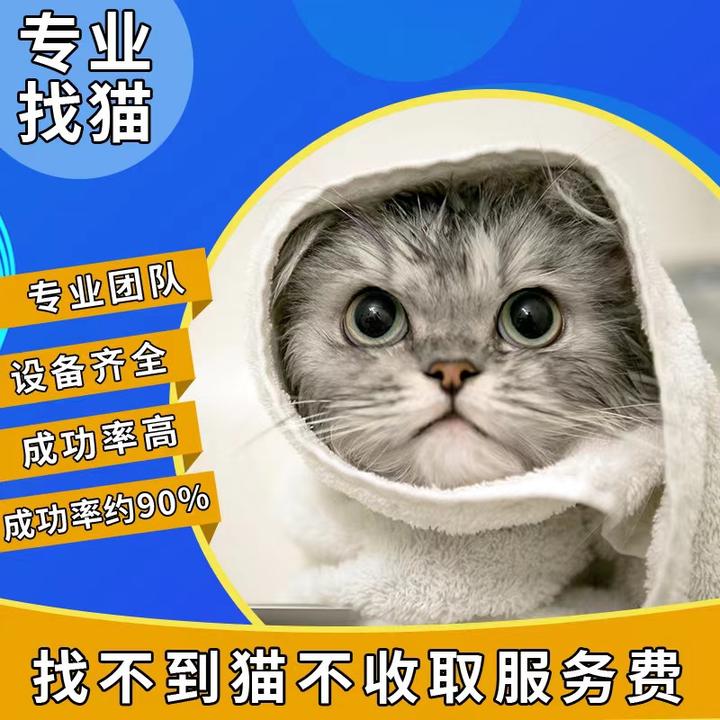 宠物寻找找猫服务找狗服务寻猫团队宠物侦探寻找宠物搜救寻找宠物