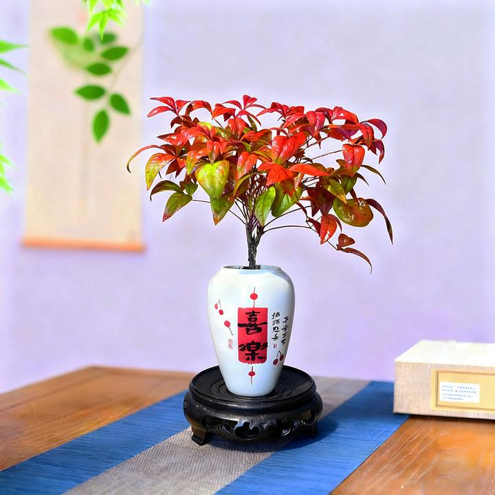 火焰南天竹盆栽中式客厅观叶易养活桌面禅意绿植盆景