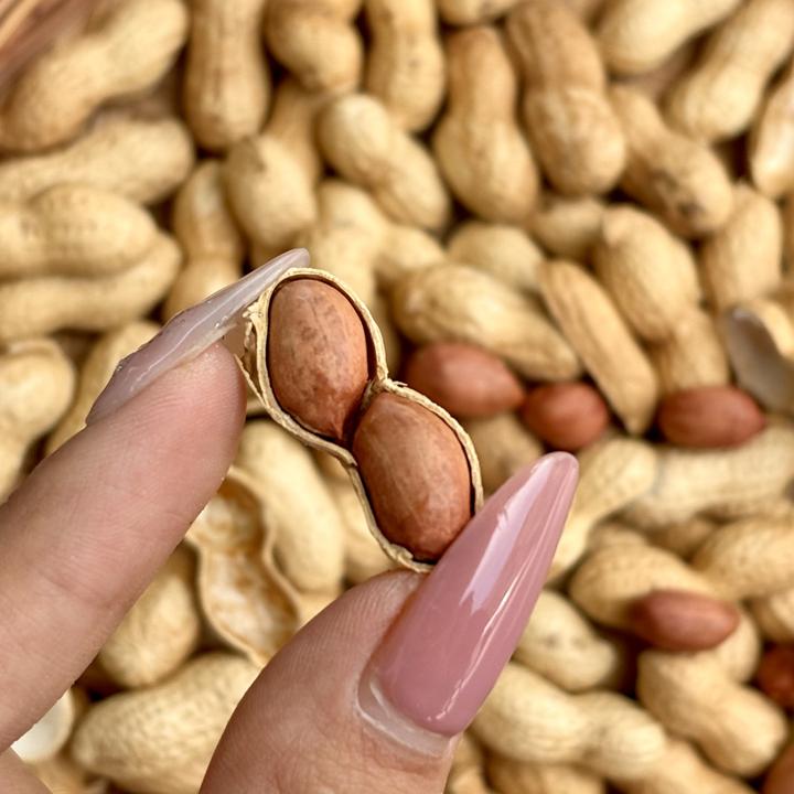 内蒙古带壳花生老工艺柴火盐沙【炒】老品种小花生下酒休闲零食