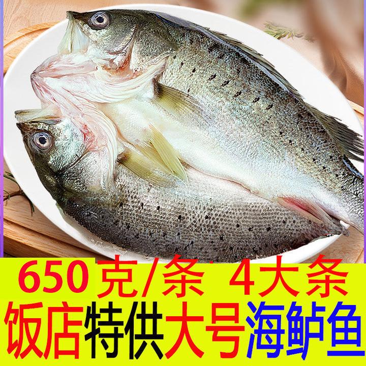 大号开背海鲈鱼 4条装  650g/条  七星新鲜冷冻鲜嫩美味生鲜