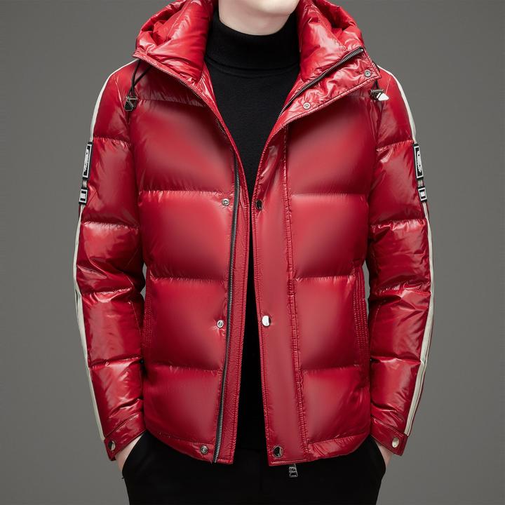 「新国标90白鸭绒」保暖连帽提花锦纶混纺立领时尚加厚冬装男装