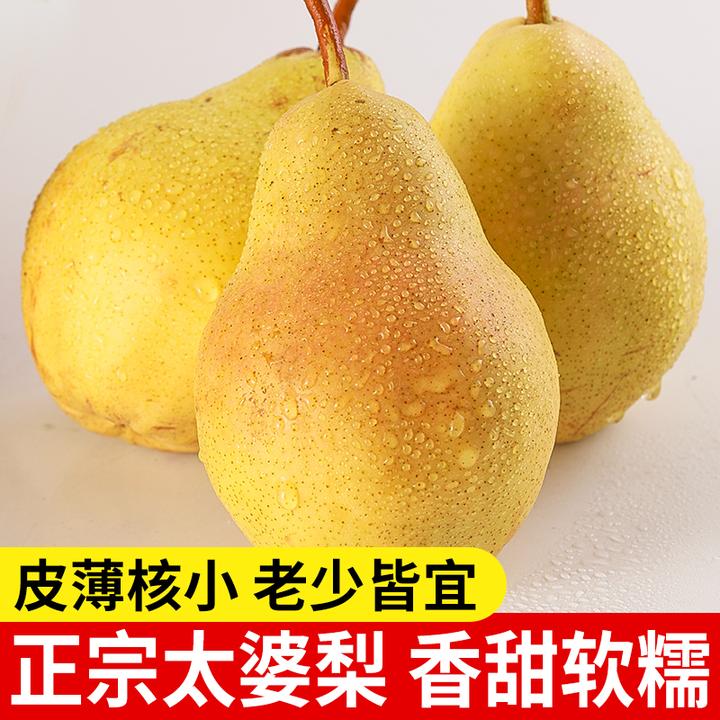 【彩箱发货】正宗烟台太婆香蕉梨放软食用现摘新鲜水果大头梨