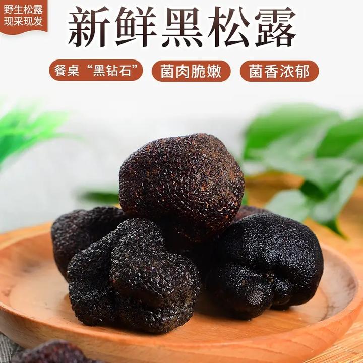 云南高黎贡山新鲜黑松露茉莉猪拱菌煲汤刺身的高档食材个人图片