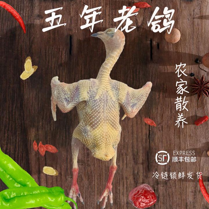 【5年老鸽】【2只顺丰包邮】农家散养散放杂粮喂养现杀新鲜笨鸽子煲汤