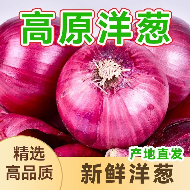 新疆扁红自种生吃产品紫皮牙子凉拌炒菜农家农家农家菜洋葱新鲜