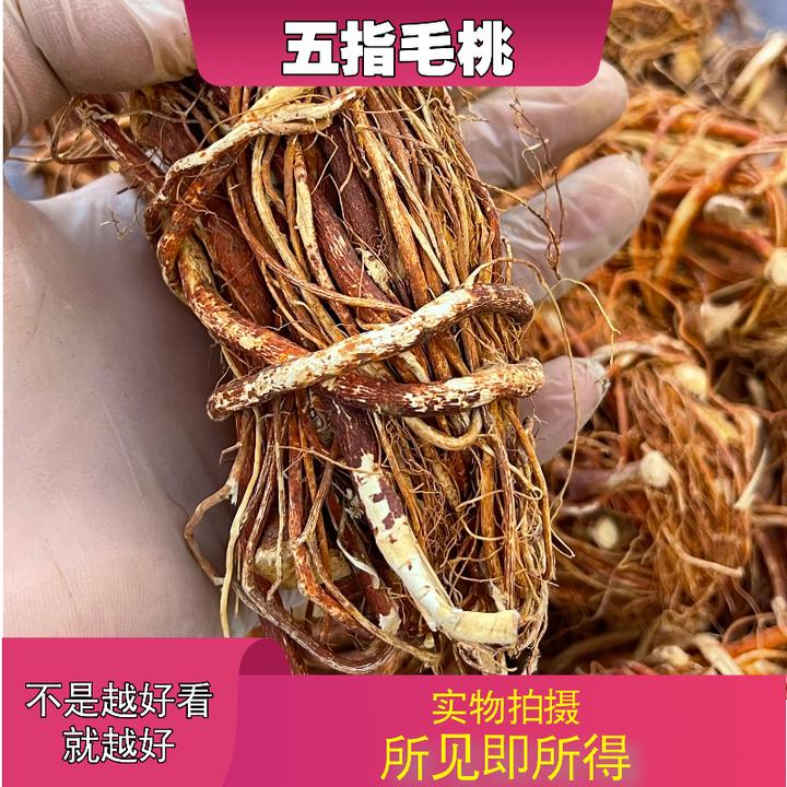 五指毛桃中药材店铺中草药大全别名：牛奶木、土黄芪、土五加皮