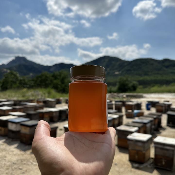 【2025荔枝蜜】两瓶更优惠，天然封盖成熟蜜