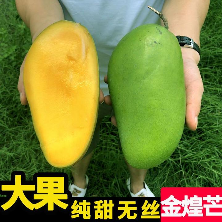 海南金煌芒0斤装新鲜水果三亚水仙大芒果当季金黄芒整箱