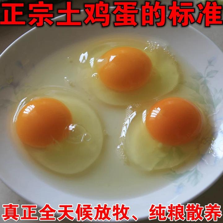 胖妹家散养老母鸡下的蛋50枚（鸡蛋的净重5斤-5.3斤）