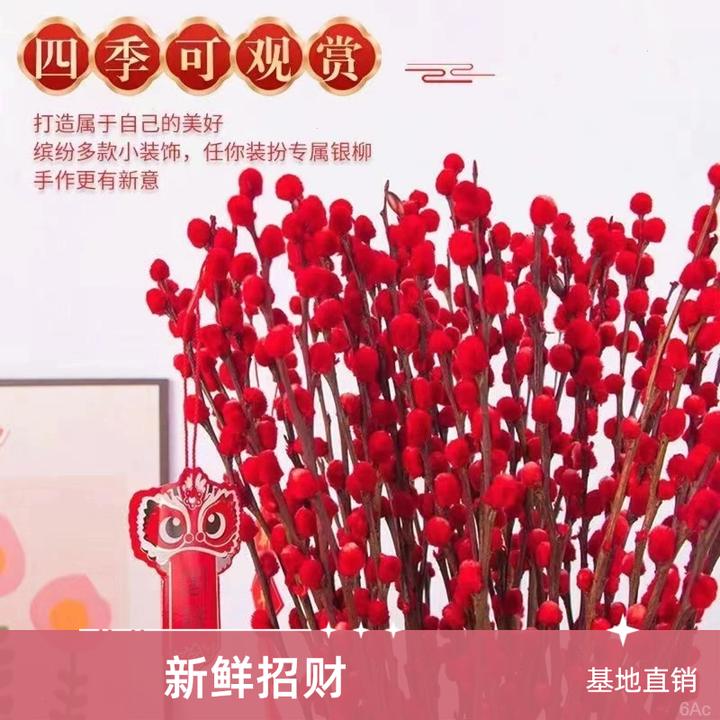 一物一拍 招财银柳年宵花基地直发银柳专供鲜花摆摊客厅装饰喜庆